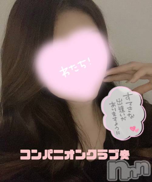 Ĺ襳ѥ˥󥯥֥ѥ˥󥯥(ѥ˥󥯥֥ʥ) 줤1219̥֥֤ͤäȡ