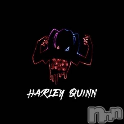 椭(22) Ĺҥߥġܱʥå륺С HARLEY QUINN(ϡ쥤)ҡ