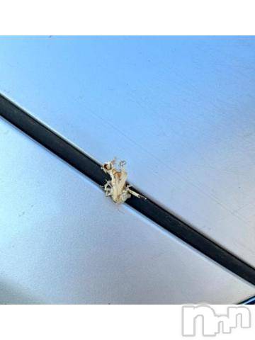 三条デリヘル新潟デリヘル倶楽部　三条店(ニイガタデリヘルクラブ　サンジョウテン) そら(26)の8月9日写メブログ「アンナチュラル」