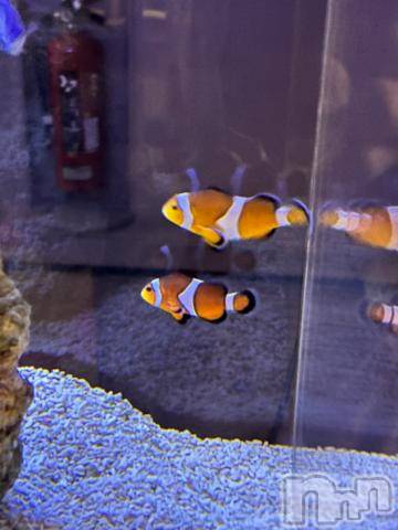 三条デリヘル新潟デリヘル倶楽部　三条店(ニイガタデリヘルクラブ　サンジョウテン) そら(26)の4月11日写メブログ「Спасибо🍣」