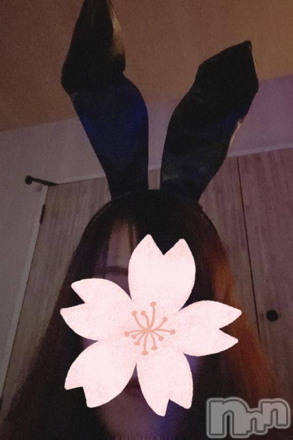 三条デリヘル新潟デリヘル倶楽部　三条店(ニイガタデリヘルクラブ　サンジョウテン)そら(26)の2025年4月28日写メブログ「重力3倍でも耳は立ちました🐰」