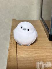 三条デリヘル新潟デリヘル倶楽部　三条店(ニイガタデリヘルクラブ　サンジョウテン) そら(26)の4月21日写メブログ「シマエナガちゃん🕊‎」