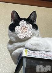 三条デリヘル新潟デリヘル倶楽部　三条店(ニイガタデリヘルクラブ　サンジョウテン) そら(26)の6月18日写メブログ「今週のそらさん𓂃🫧‪」