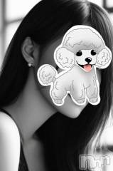 三条デリヘル新潟デリヘル倶楽部　三条店(ニイガタデリヘルクラブ　サンジョウテン) そら(26)の9月12日写メブログ「晴れ風🍻」