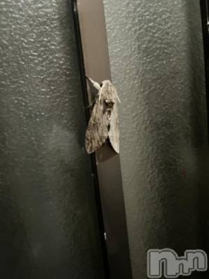 三条デリヘル 新潟デリヘル倶楽部　三条店(ニイガタデリヘルクラブ　サンジョウテン) そら(26)の9月2日写メブログ「セプテンバーさん🎶」