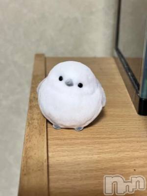 三条デリヘル 新潟デリヘル倶楽部　三条店(ニイガタデリヘルクラブ　サンジョウテン) そら(26)の4月21日写メブログ「シマエナガちゃん🕊‎」