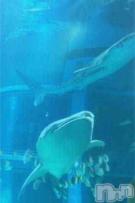 三条デリヘル 新潟デリヘル倶楽部　三条店(ニイガタデリヘルクラブ　サンジョウテン) そら(26)の3月13日写メブログ「（ ･_______･ ）」