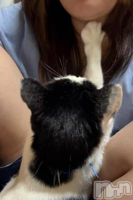 三条デリヘル 新潟デリヘル倶楽部　三条店(ニイガタデリヘルクラブ　サンジョウテン) そら(26)の5月21日写メブログ「「そらの夜間冷蔵便🍨出発です✈️」」