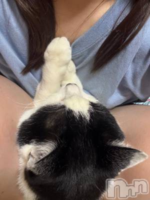 三条デリヘル 新潟デリヘル倶楽部　三条店(ニイガタデリヘルクラブ　サンジョウテン) そら(26)の5月25日写メブログ「寒さと猫と、布団という名の牢獄🐱」