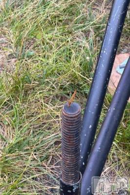 三条デリヘル 新潟デリヘル倶楽部　三条店(ニイガタデリヘルクラブ　サンジョウテン) そら(26)の7月30日写メブログ「暑さも恋も、短期集中型がモテる説。」