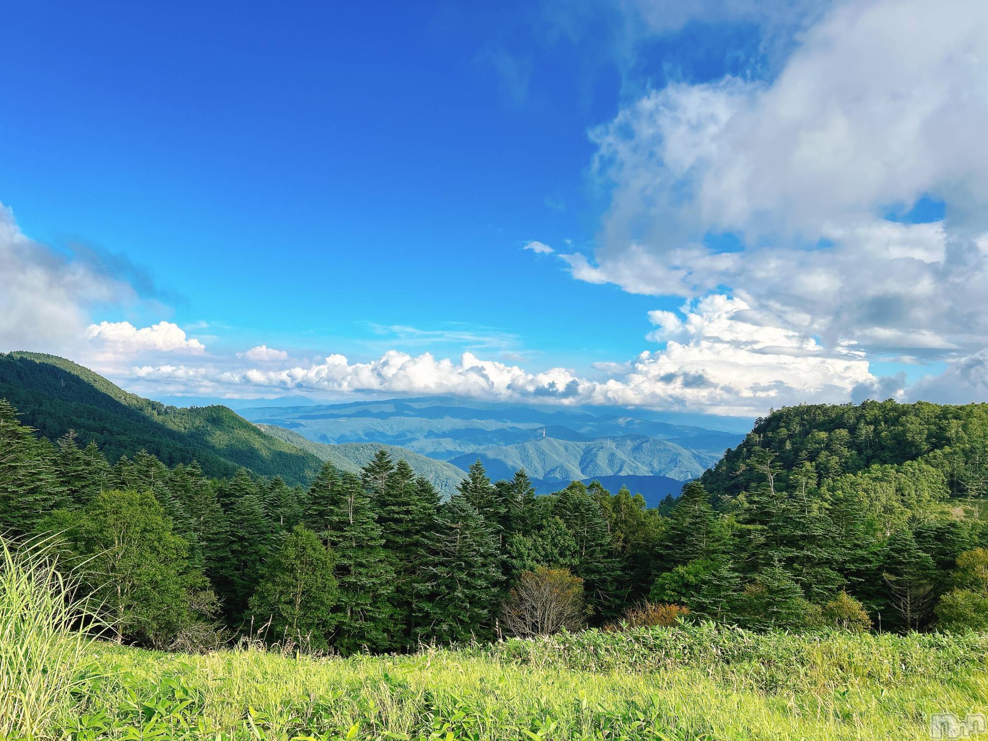 長岡デリヘル長岡人妻市(ナガオカヒトヅマイチ)すずの★濡れすぎ注意★(38)の2024年8月21日写メブログ「おはようございます☀️｡°」
