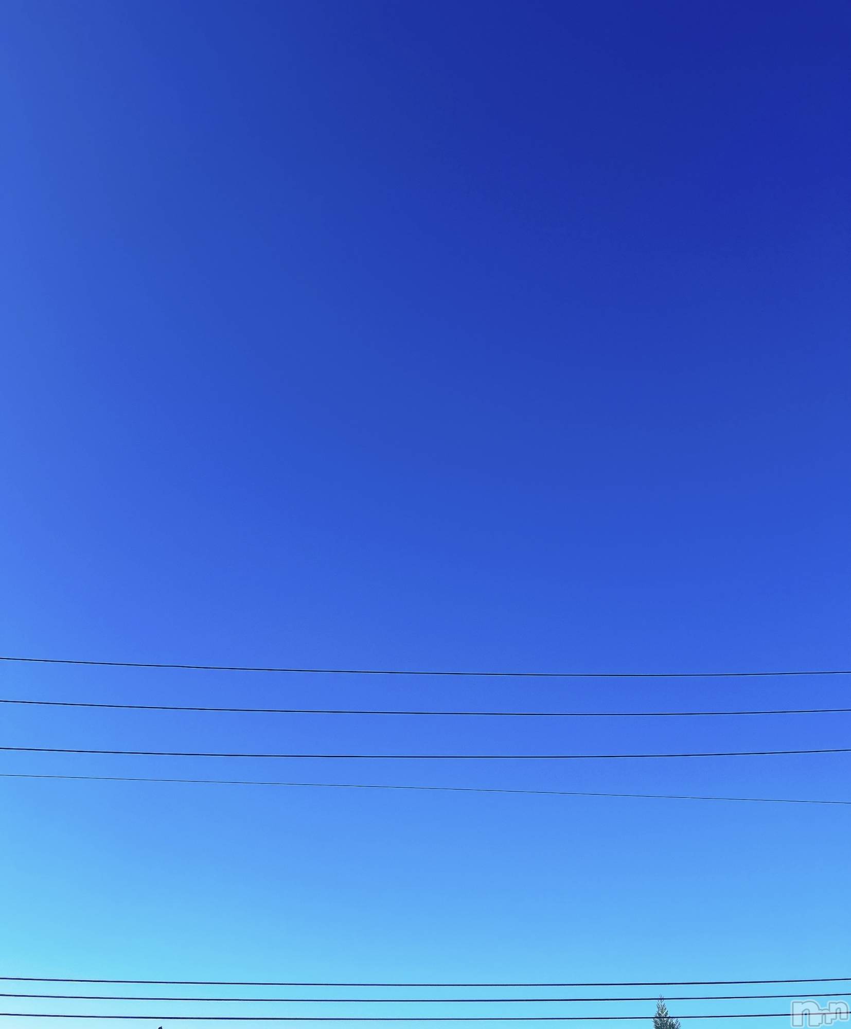 長岡デリヘル長岡人妻市(ナガオカヒトヅマイチ)すずの★濡れすぎ注意★(38)の2024年9月24日写メブログ「晴天」