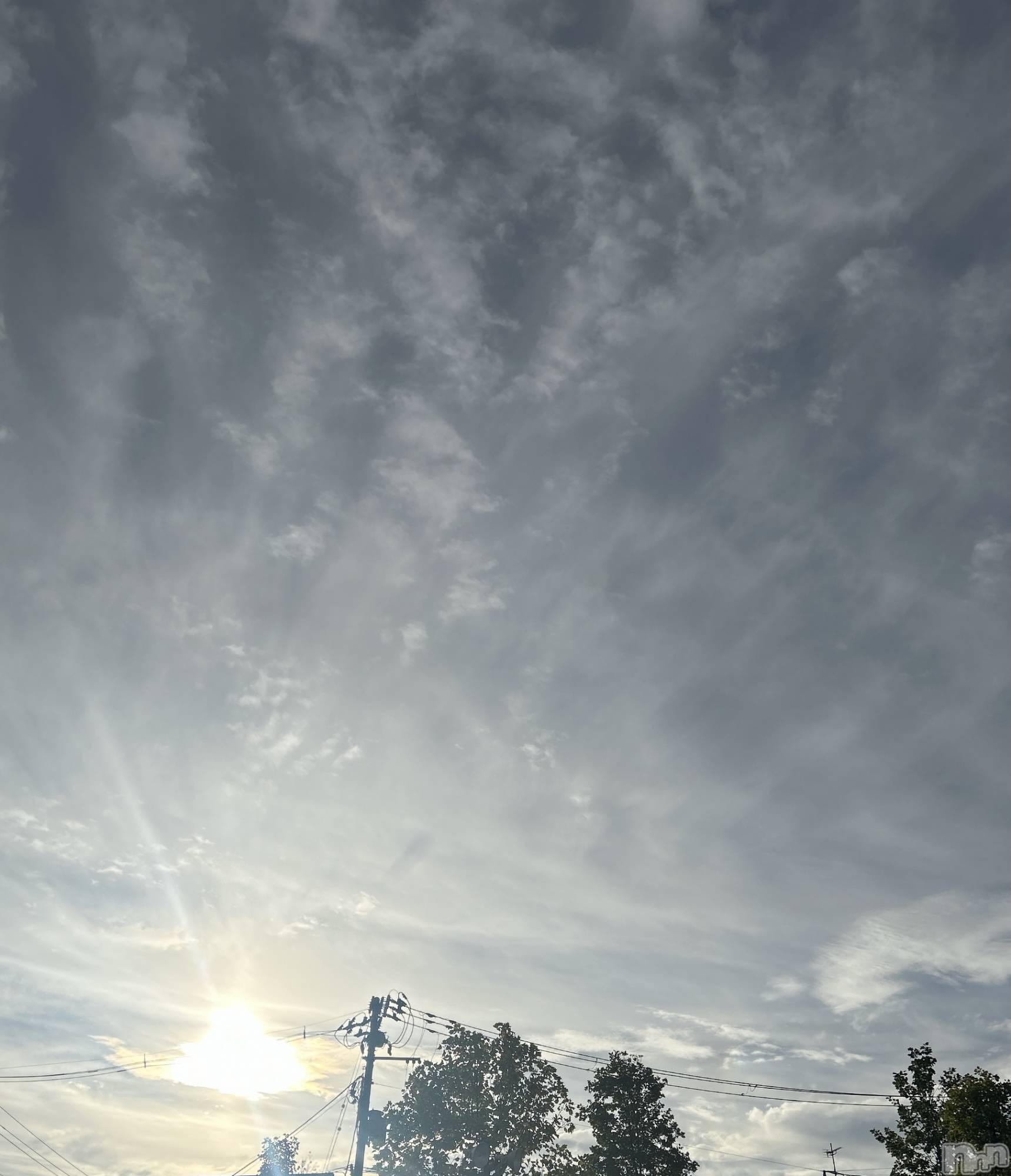 長岡デリヘル長岡人妻市(ナガオカヒトヅマイチ)すずの★濡れすぎ注意★(38)の2024年10月10日写メブログ「いいお天気🌞🌱」