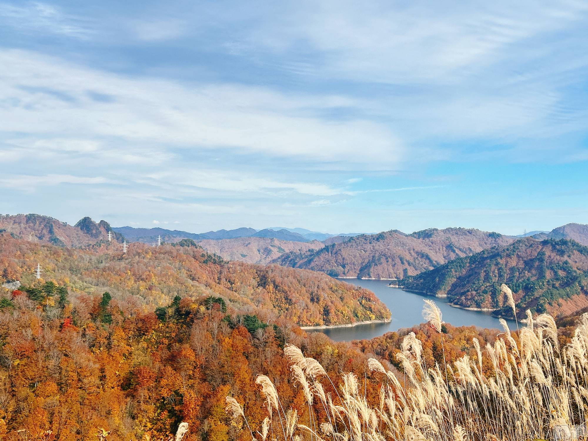 長岡デリヘル長岡人妻市(ナガオカヒトヅマイチ)すずの★濡れすぎ注意★(38)の2024年11月12日写メブログ「またいっちゃった」