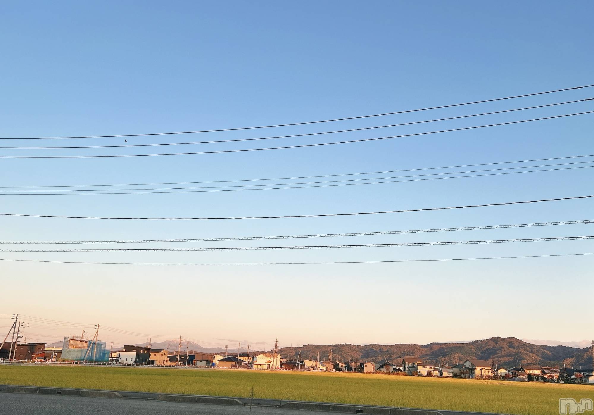 長岡デリヘル長岡人妻市(ナガオカヒトヅマイチ)すずの★濡れすぎ注意★(38)の2024年11月26日写メブログ「遠くの」