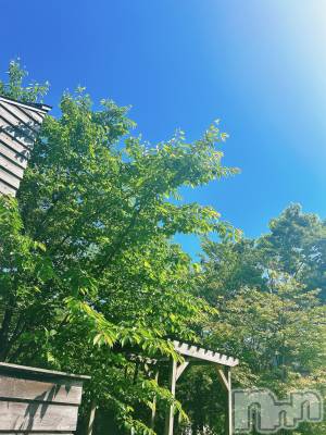 長岡デリヘル 長岡人妻市(ナガオカヒトヅマイチ) すずの★濡れすぎ注意★(38)の5月15日写メブログ「おはようございます☀️」