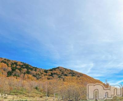 長岡デリヘル 長岡人妻市(ナガオカヒトヅマイチ) すずの★濡れすぎ注意★(38)の10月22日写メブログ「もう夜だー🌙*ﾟ」