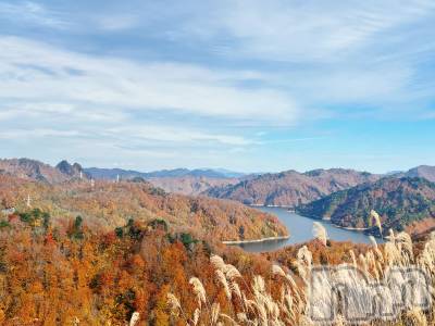 長岡デリヘル 長岡人妻市(ナガオカヒトヅマイチ) すずの★濡れすぎ注意★(38)の11月12日写メブログ「またいっちゃった」