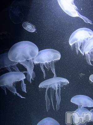 長岡デリヘル 長岡人妻市(ナガオカヒトヅマイチ) すずの★濡れすぎ注意★(38)の1月13日写メブログ「おはようございます☀️｡°」