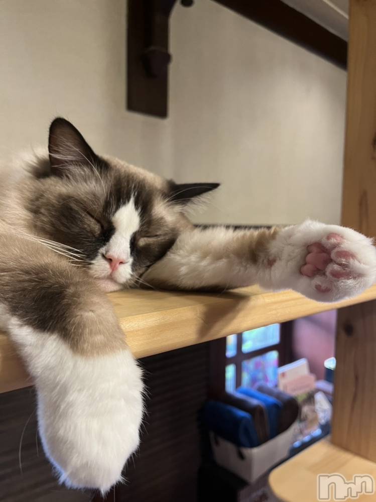 㽩ն襹ʥå륺СCafe&Bar Place(եɥСץ쥤) 줤623̥֥🐱🥂