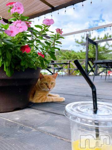 長岡デリヘルTERRACE(テラス) おとは(25)の10月3日写メブログ「猫カフェ」