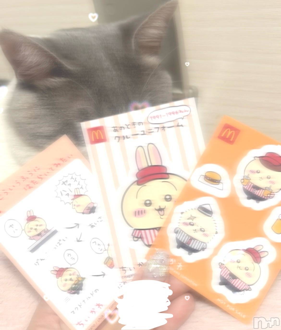 ʥå륺СVeronica-˥-(˥) 2024ǯ99̥֥֥ϡ