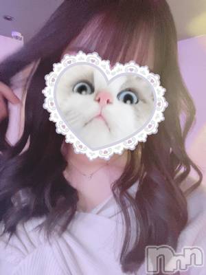 ʥå륺СLE SOLEIL( 쥤) ߤ椦1122ֽ̥֥ޤ🌙