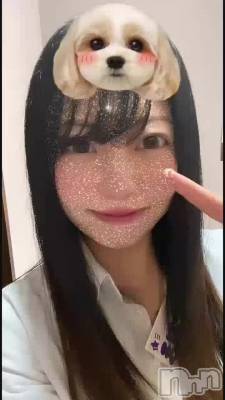 Ʋ╹◡╹♡