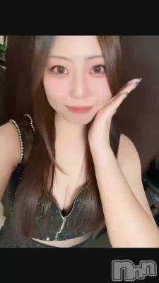 ����������Ǥ���