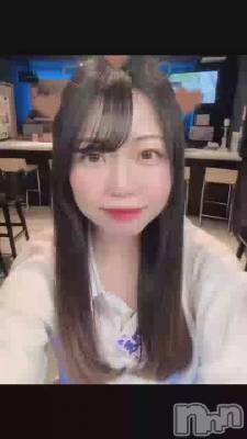 ӡ롪