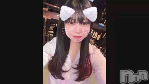 �֥���������������