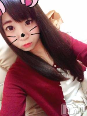 新潟デリヘル 奥様特急 新潟店(オクサマトッキュウニイガタテン) ひらり(25)の11月28日写メブログ「出勤♪」