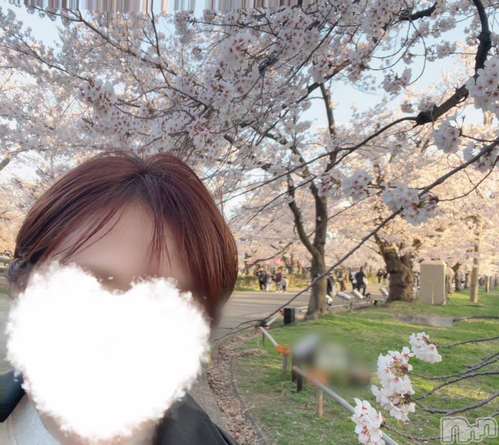 上越デリヘルらぶ妻　～新潟の人妻が集う店～(ラブツマ) 藤井ゆりな★淫乱＆美乳♪(39)の4月10日写メブログ「季節味わってきた🌸」