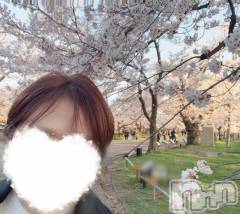 上越デリヘルらぶ妻　～新潟の人妻が集う店～(ラブツマ) 藤井ゆりな★淫乱＆美乳♪(39)の4月10日写メブログ「季節味わってきた🌸」