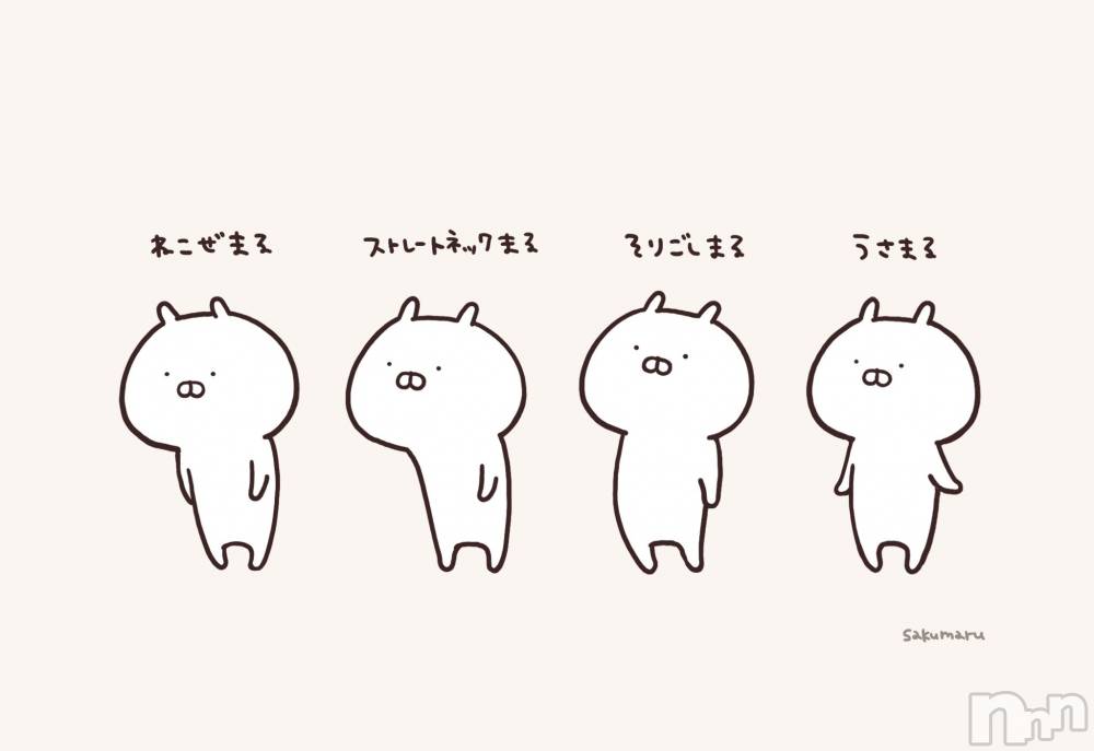 ĮХ顦֥ ץ ( ץ ) ǵʤߤ48̥֥🐰