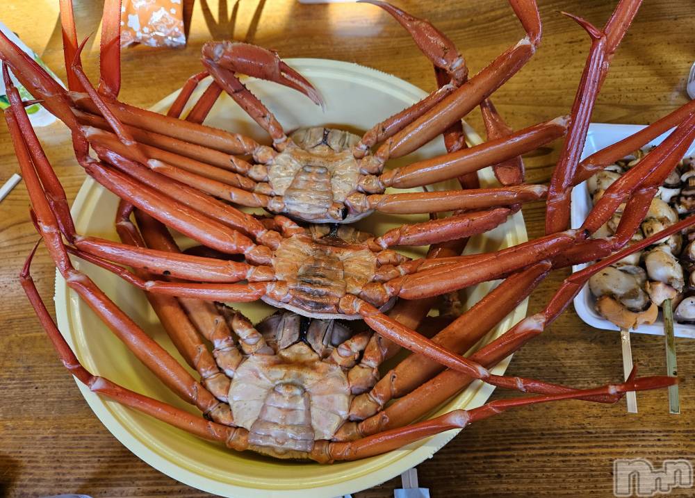 ĮХ顦֥ ץ ( ץ ) ǵʤߤ726̥֥🦀