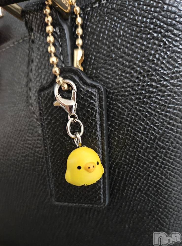 ĮХ顦֥ ץ ( ץ ) ǵʤߤ818̥֥🐤