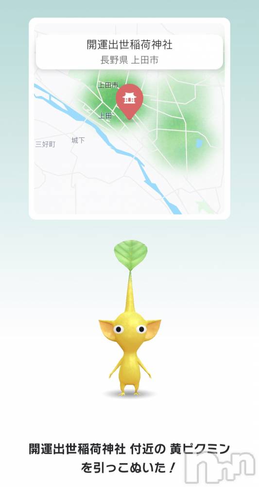 ĮХ顦֥ ץ ( ץ ) ǵʤߤ912̥֥✨