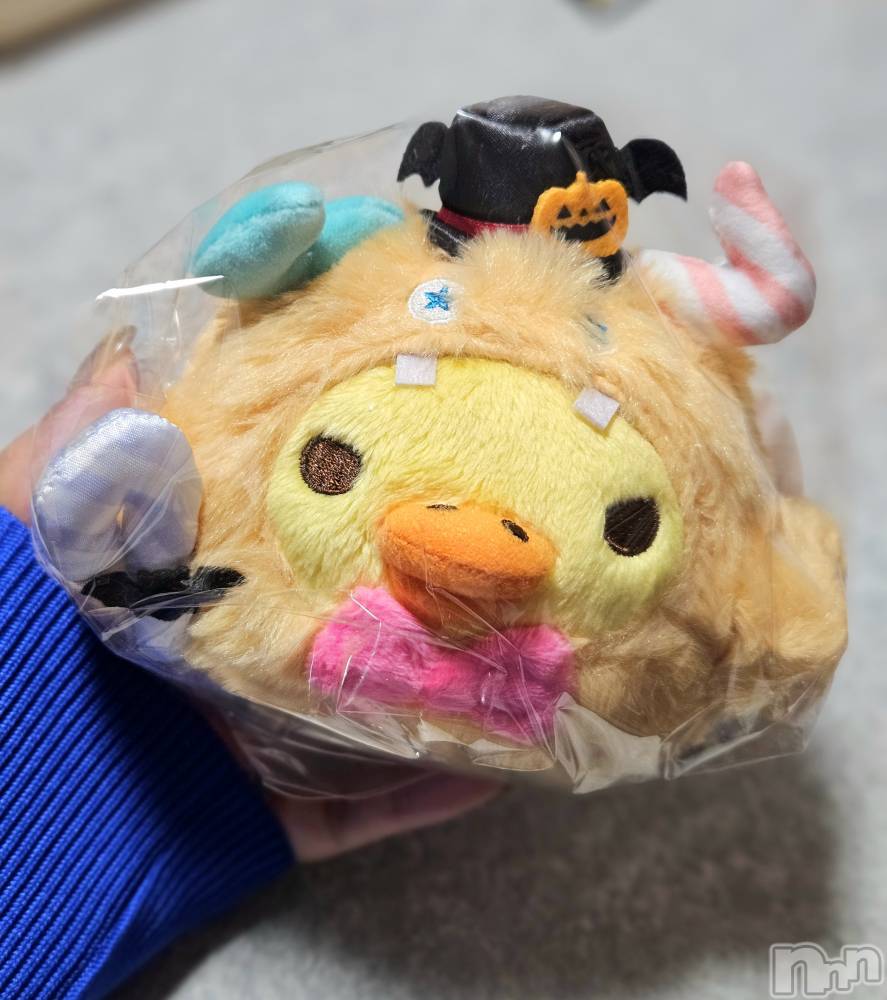 ĮХ顦֥ ץ ( ץ ) ǵʤߤ1015̥֥🎃
