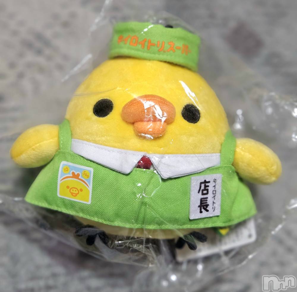 ĮХ顦֥ ץ ( ץ ) ǵʤߤ1112̥֥🐤