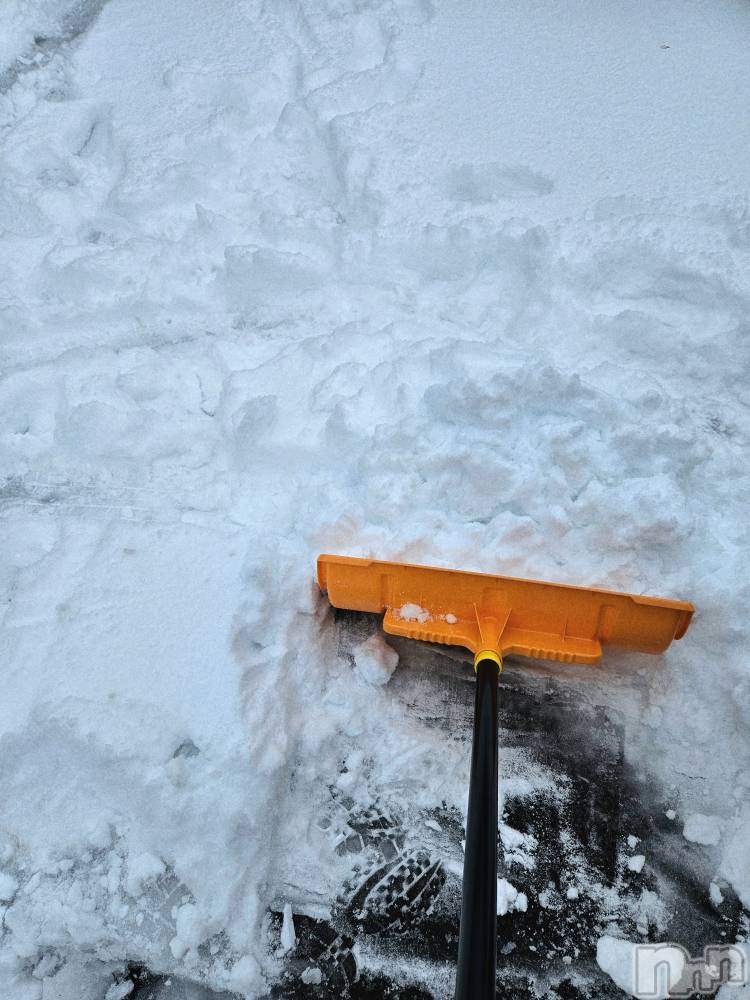ĮХ顦֥ ץ ( ץ ) ǵʤߤ33̥֥❄