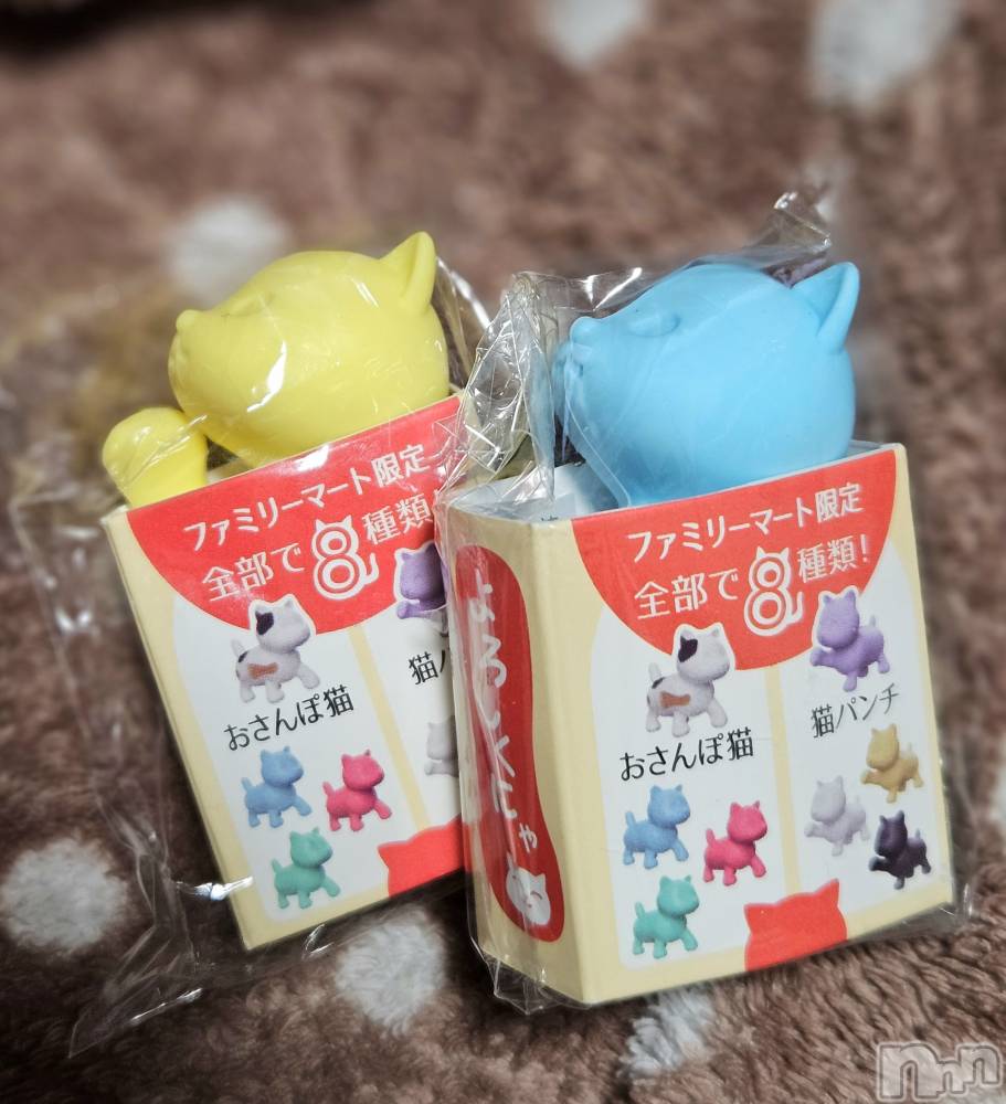 ĮХ顦֥ ץ ( ץ ) ǵʤߤ33̥֥🐱