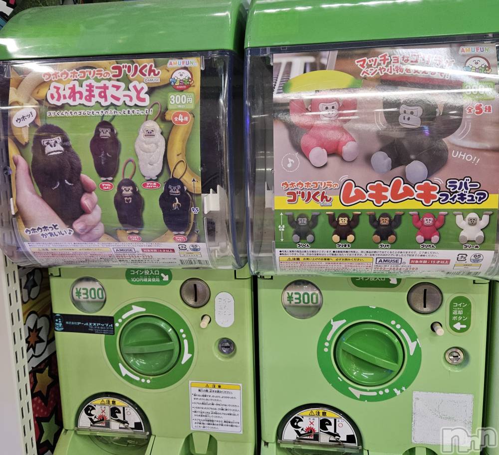 ĮХ顦֥ ץ ( ץ ) ǵʤߤ320̥֥🦍