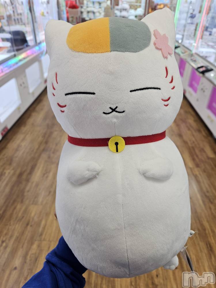 ĮХ顦֥ ץ ( ץ ) ǵʤߤ330̥֥🐱