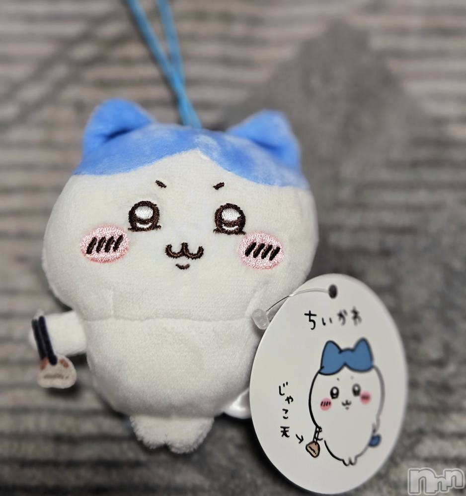 ĮХ顦֥ ץ ( ץ ) ǵʤߤ522̥֥🐱