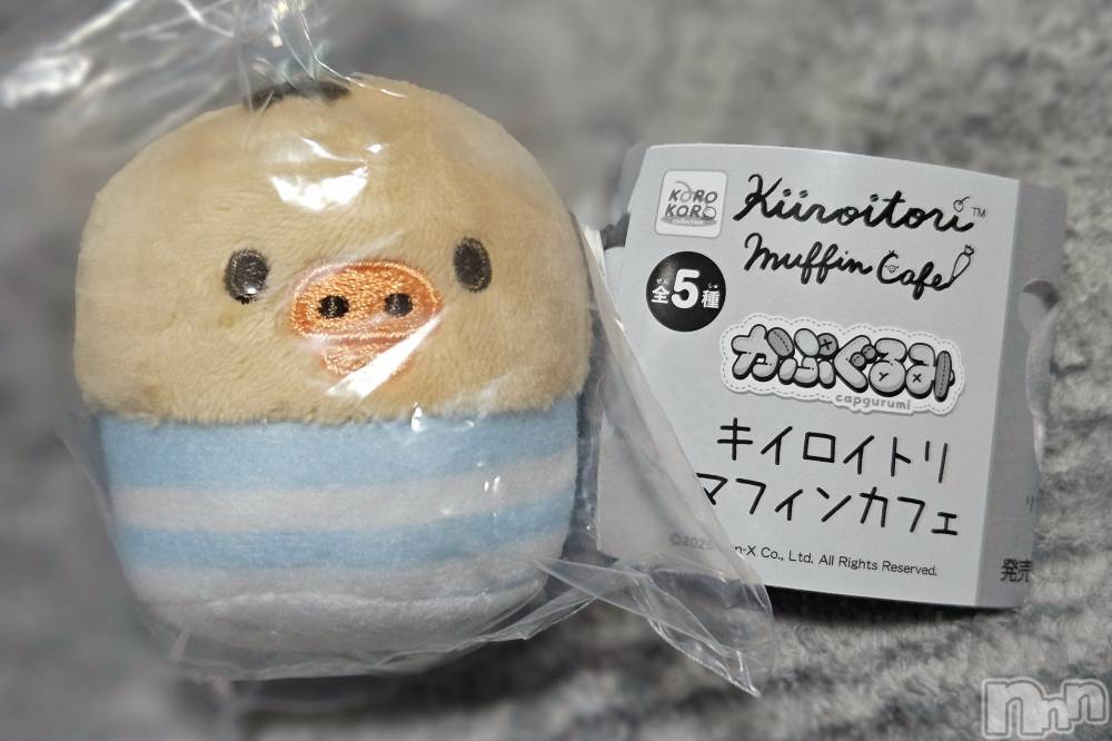 ĮХ顦֥ ץ ( ץ ) ǵʤߤ527̥֥🐤