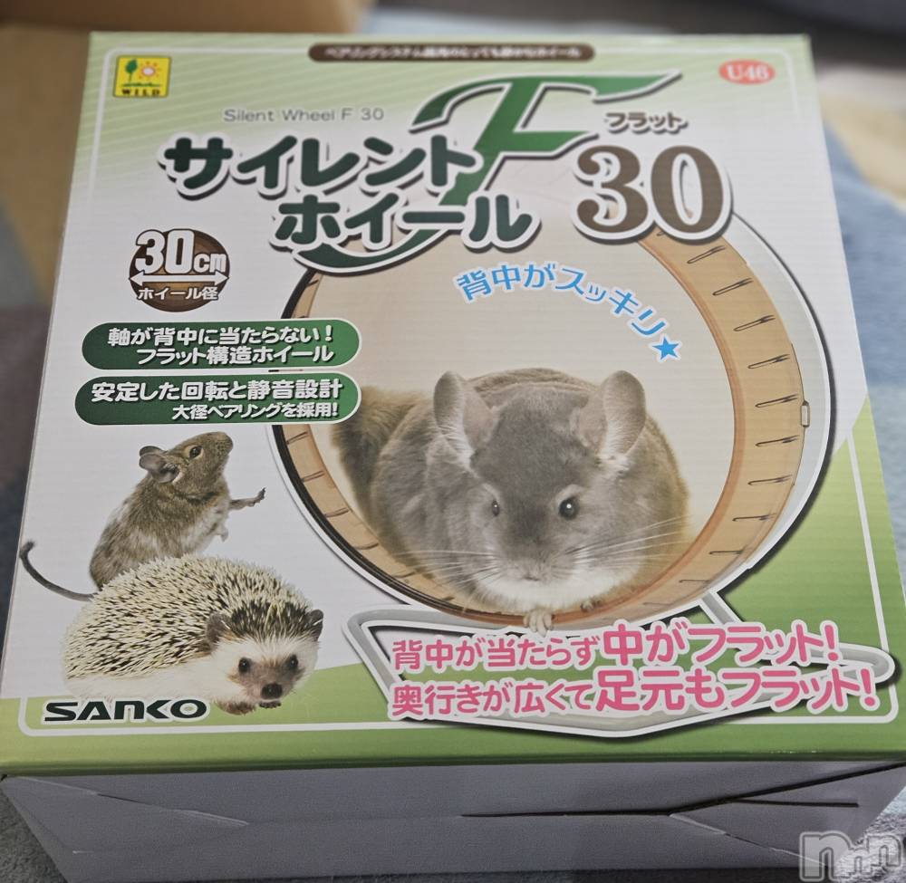 ĮХ顦֥ ץ ( ץ ) ǵʤߤ613̥֥🦔⸒⸒