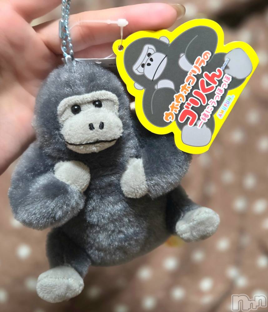 ĮХ顦֥ ץ ( ץ ) ǵʤߤ919̥֥🦍