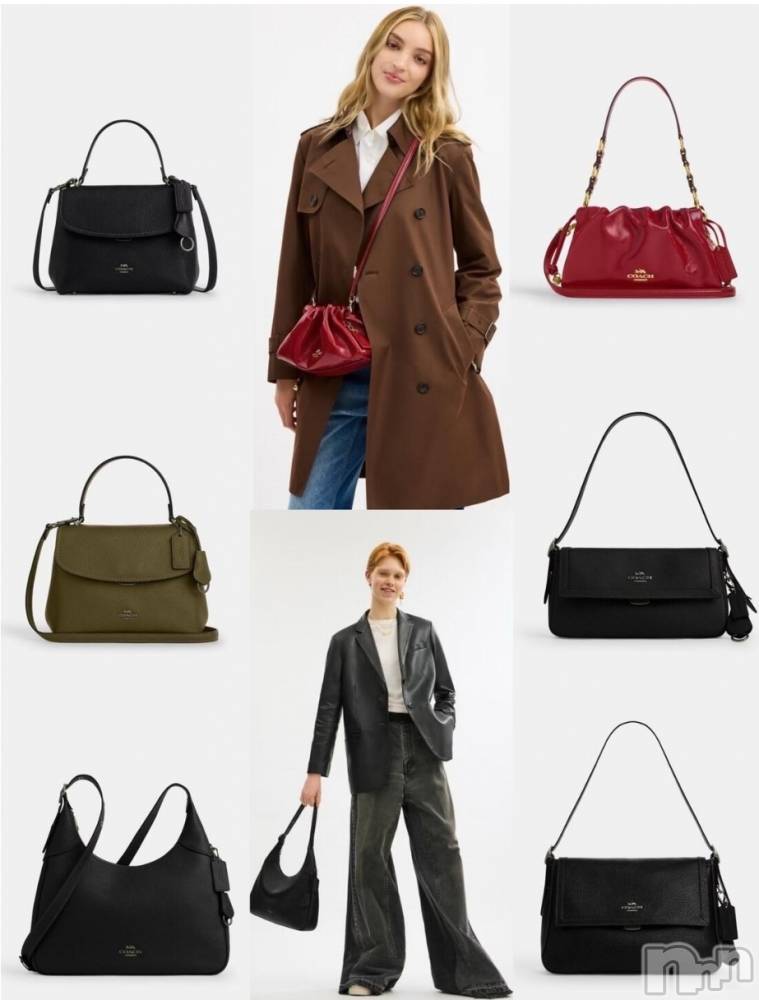 ĮХ顦֥ ץ ( ץ ) ǵʤߤ926̥֥👜