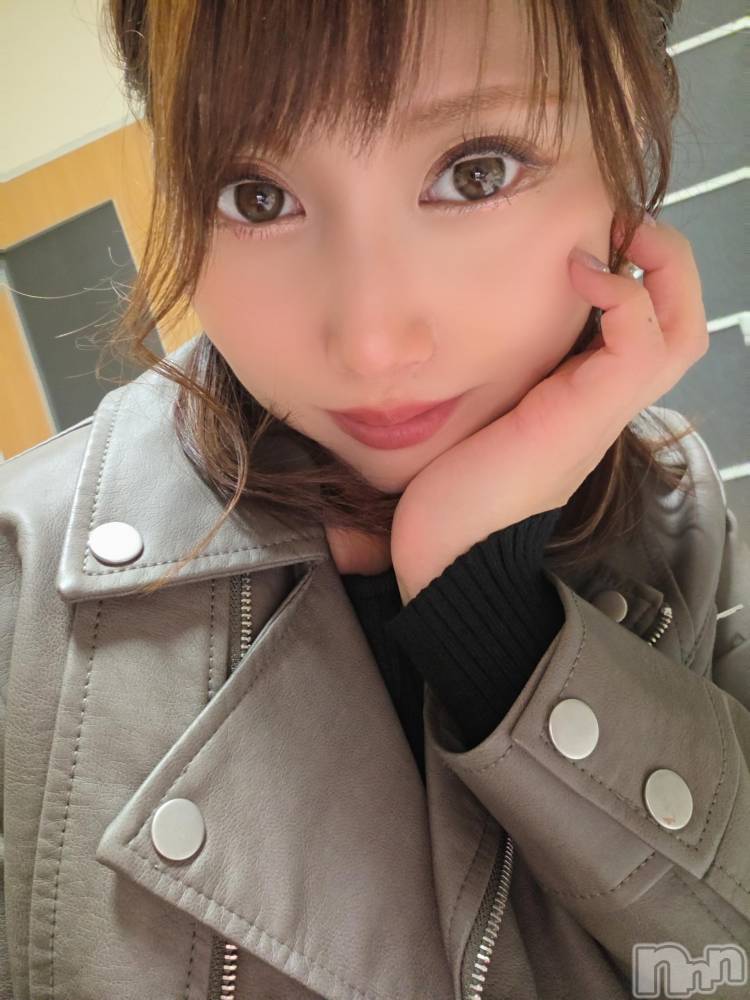 ĮХ顦֥ ץ ( ץ ) ǵʤߤ1115̥֥🙃